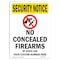 Signmission OSHA Security Sign, 14" Height, No Concealed Weapons, Portrait, SN-D-1014-V-11725 OS-SN-D-1014-V-11725 - alternate 1